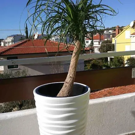 Apartment Vera 1