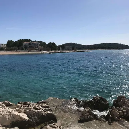 Vera 1 罗戈兹尼察