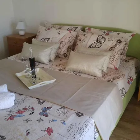 Vera 1 罗戈兹尼察