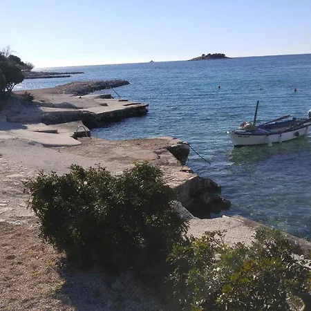 Vera 1 * 罗戈兹尼察