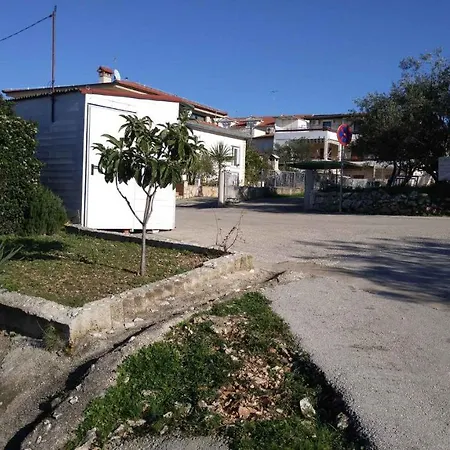 Vera 1